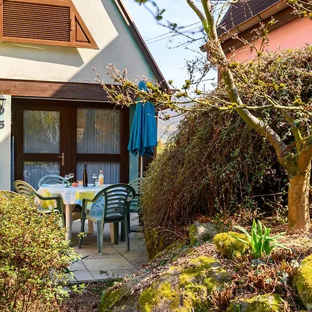 Gite Riesling N°5 A Kaysersberg Holiday home *